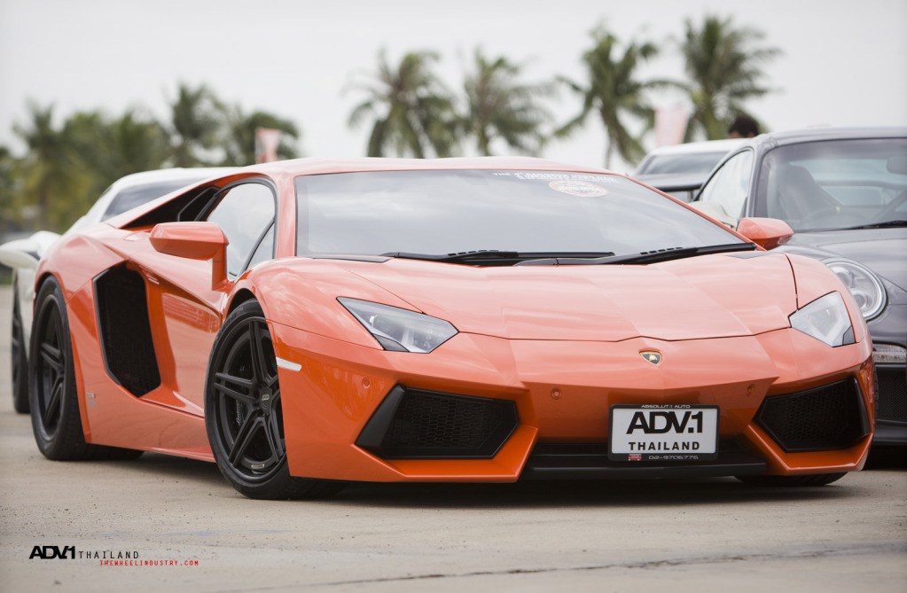 Name:  _29Y7835.jpg
Views: 169
Size:  161.5 KB