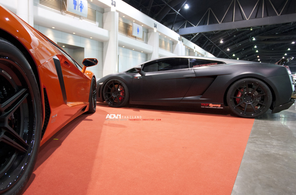 Name:  _29Y7827.jpg
Views: 88
Size:  201.3 KB