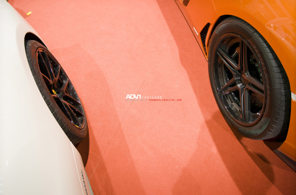 Name:  _29Y7802.jpg
Views: 79
Size:  185.4 KB