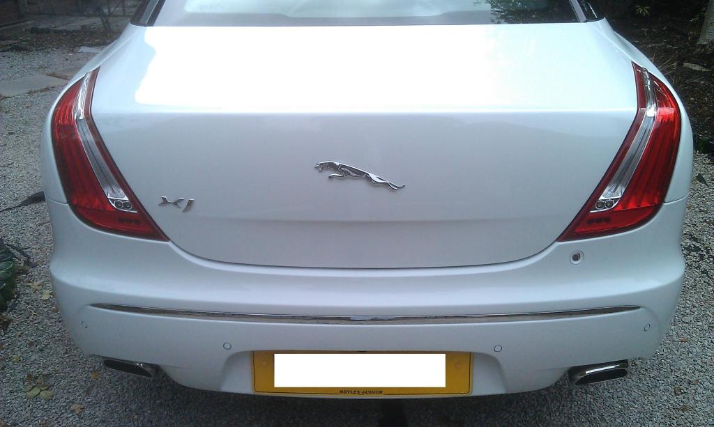 Name: Back-1.jpg
Views: 48
Size: 122.2 KB