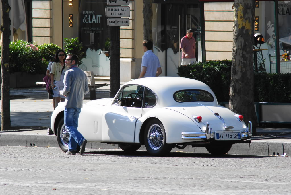 Name:  DSC04075.jpg
Views: 20
Size:  136.6 KB