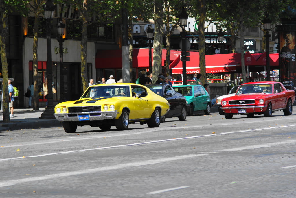 Name:  DSC04134.jpg
Views: 17
Size:  179.6 KB