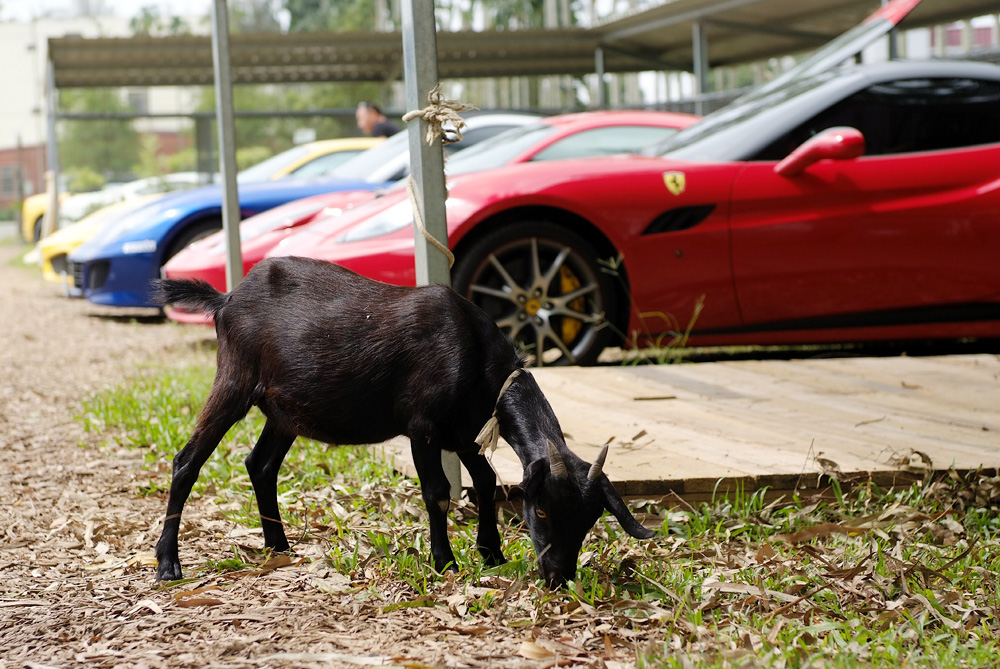 Name:  1198.jpg
Views: 87
Size:  303.5 KB