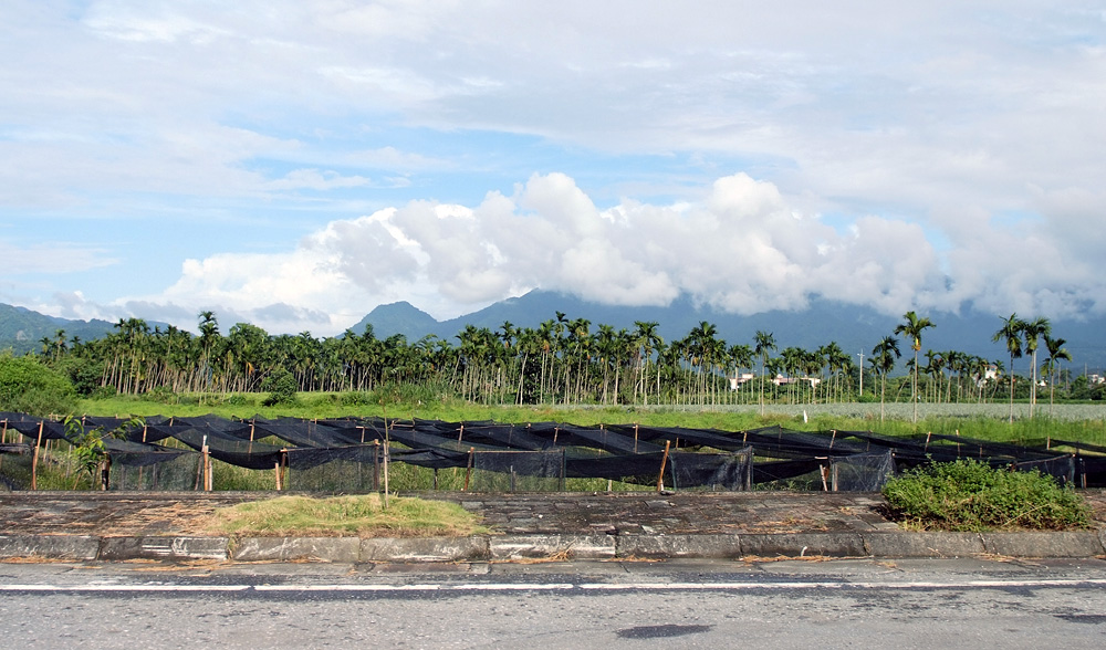 Name:  1595.jpg
Views: 81
Size:  248.7 KB