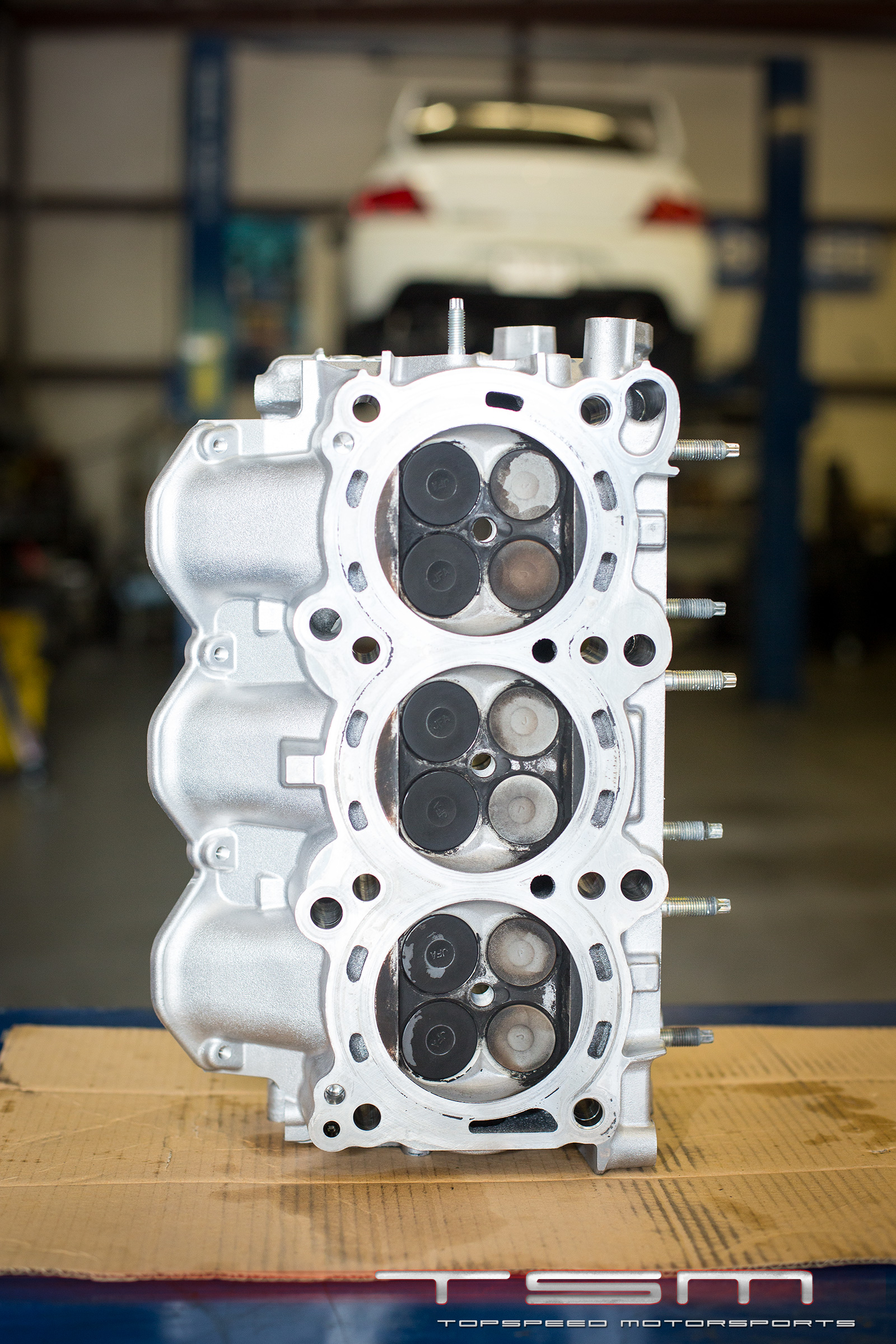 Name:  FF9A3525.jpg
Views: 36
Size:  1.21 MB