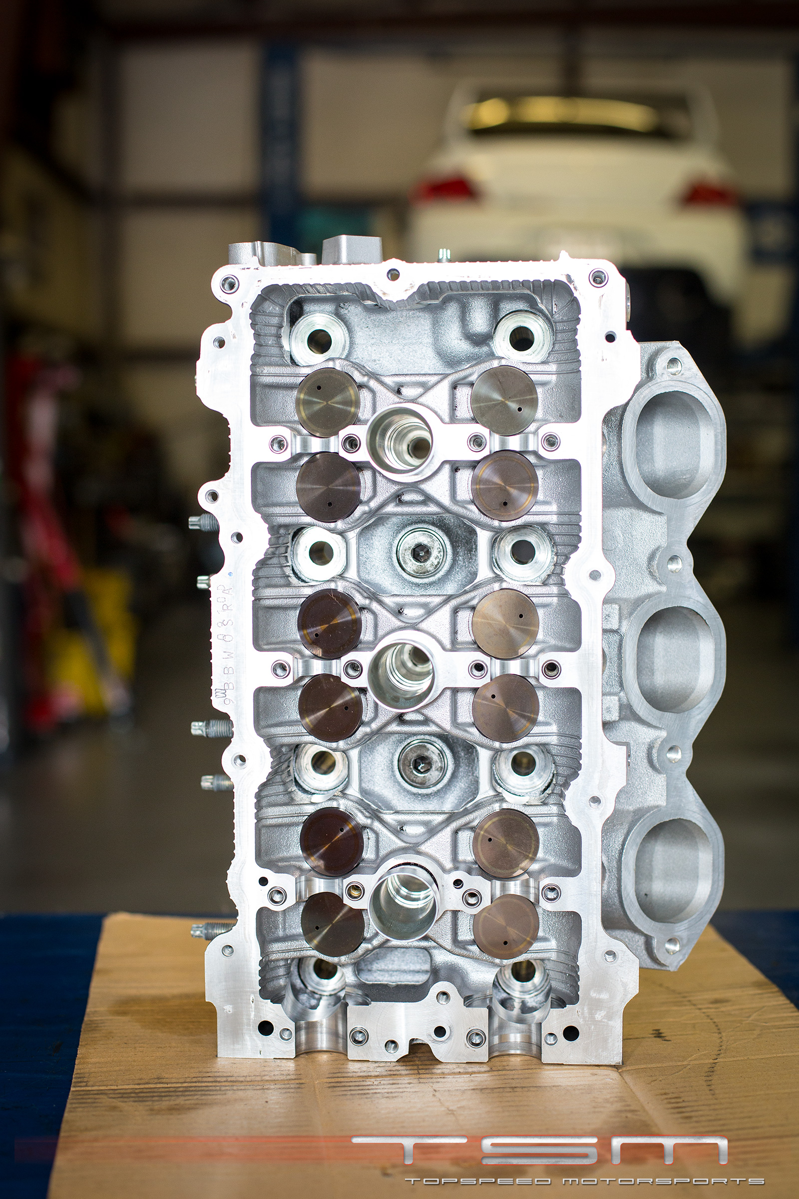 Name:  FF9A3539.jpg
Views: 37
Size:  1.36 MB