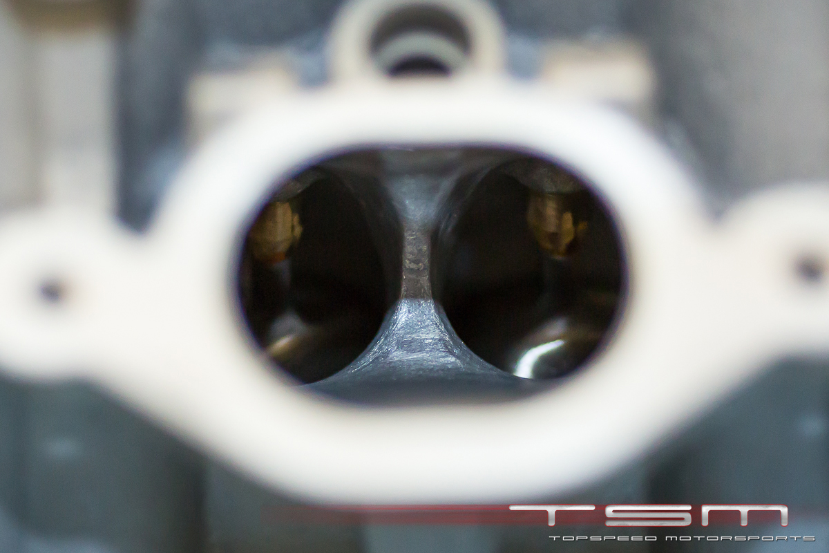 Name:  FF9A2763.jpg
Views: 23
Size:  497.2 KB