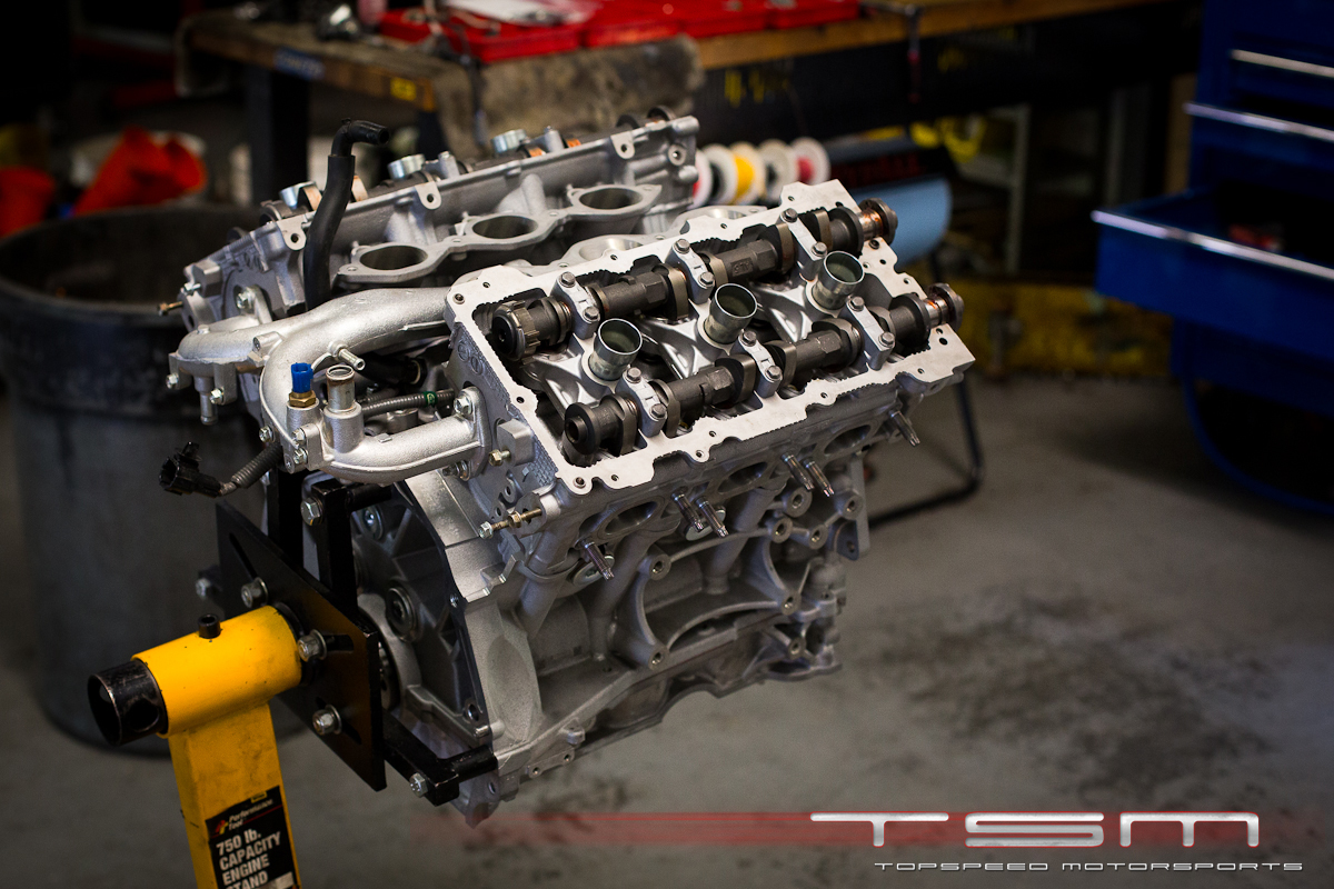 Name:  FF9A2880.jpg
Views: 24
Size:  655.3 KB