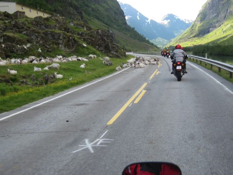 Name:  NorwayPublic15.jpg
Views: 59
Size:  83.7 KB