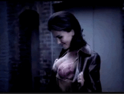 Name:  porsch5.gif
Views: 1877
Size:  391.7 KB