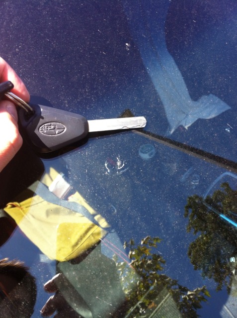 Name:  25fb795f.jpg
Views: 97
Size:  99.1 KB