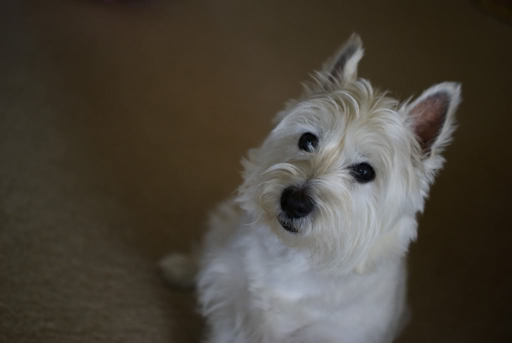 Name:  DSC03564.jpg
Views: 30
Size:  32.4 KB