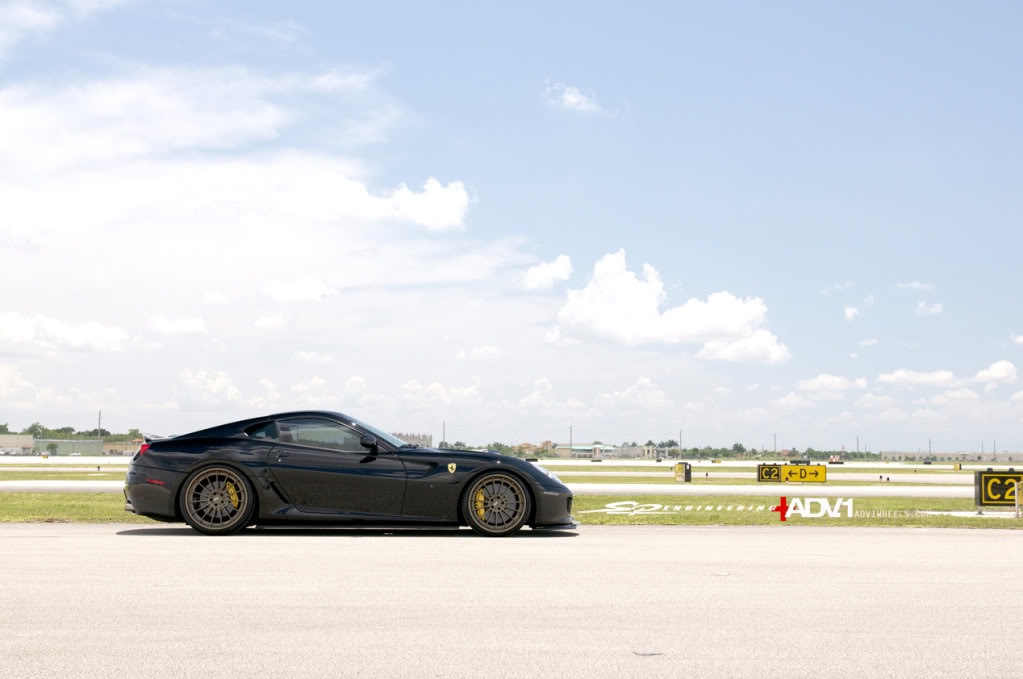 Name:  DSC_8557.jpg
Views: 25
Size:  67.2 KB