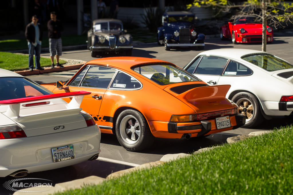 Name:  IMG_1237-Edit.jpg
Views: 149
Size:  199.9 KB