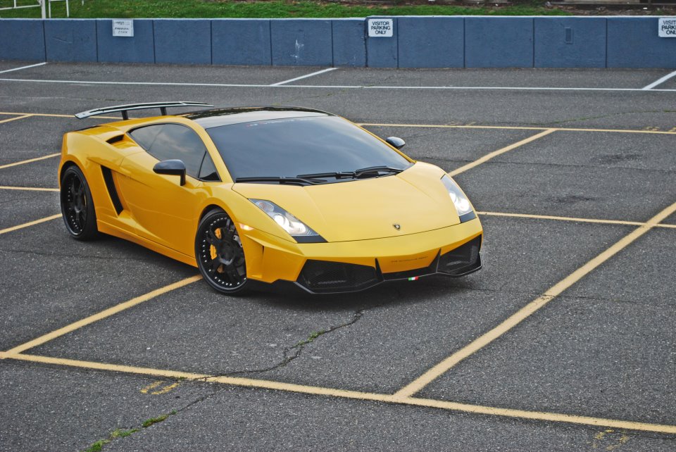 Name:  blackandyellowgst.jpg
Views: 41
Size:  149.1 KB