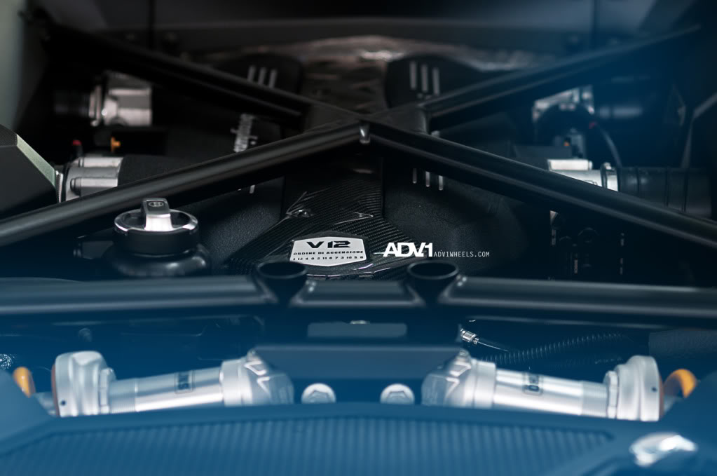 Name:  ADV1LP70015.jpg
Views: 145
Size:  63.7 KB