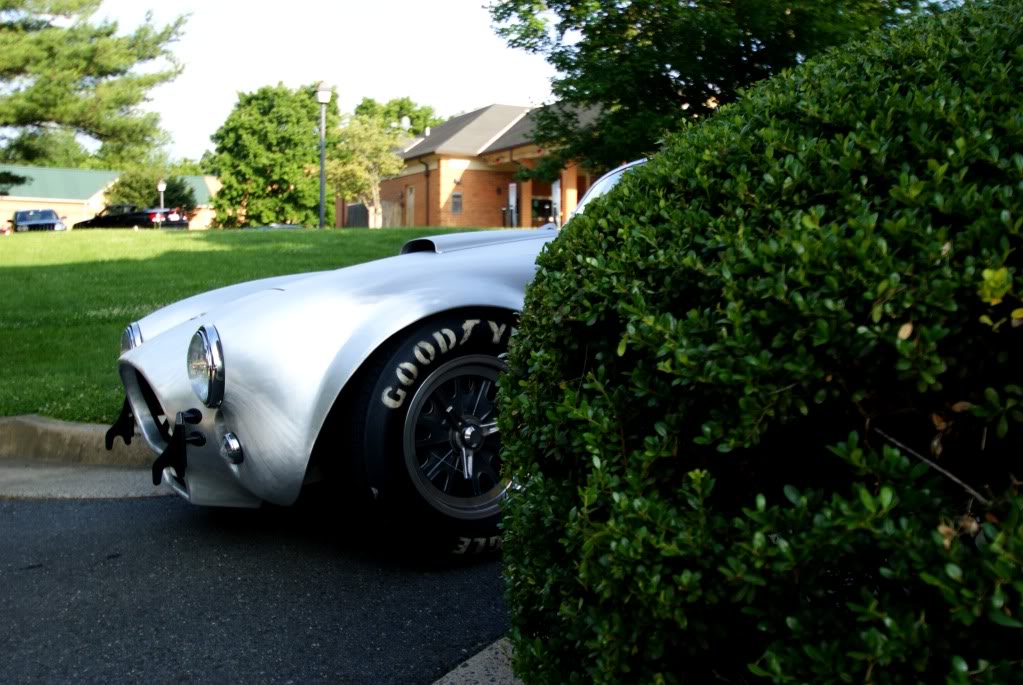 Name:  DSC03437.jpg
Views: 27
Size:  128.1 KB