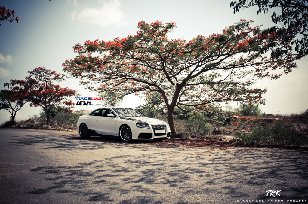 Name:  IMG_7167-2-2.jpg
Views: 69
Size:  231.4 KB