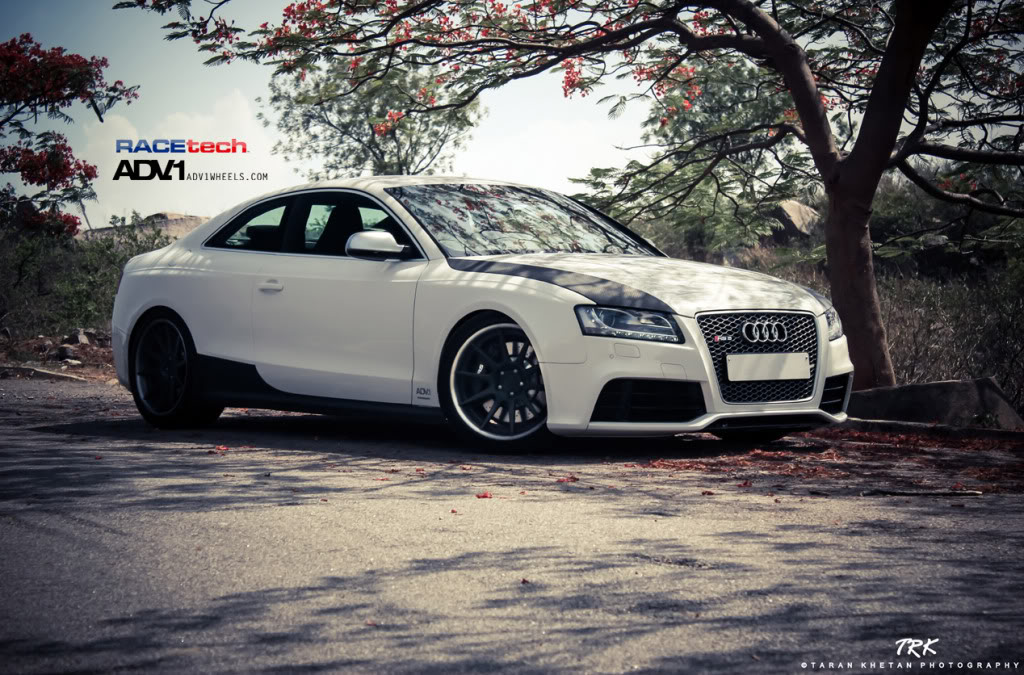 Name:  IMG_7170-2-2.jpg
Views: 45
Size:  192.3 KB