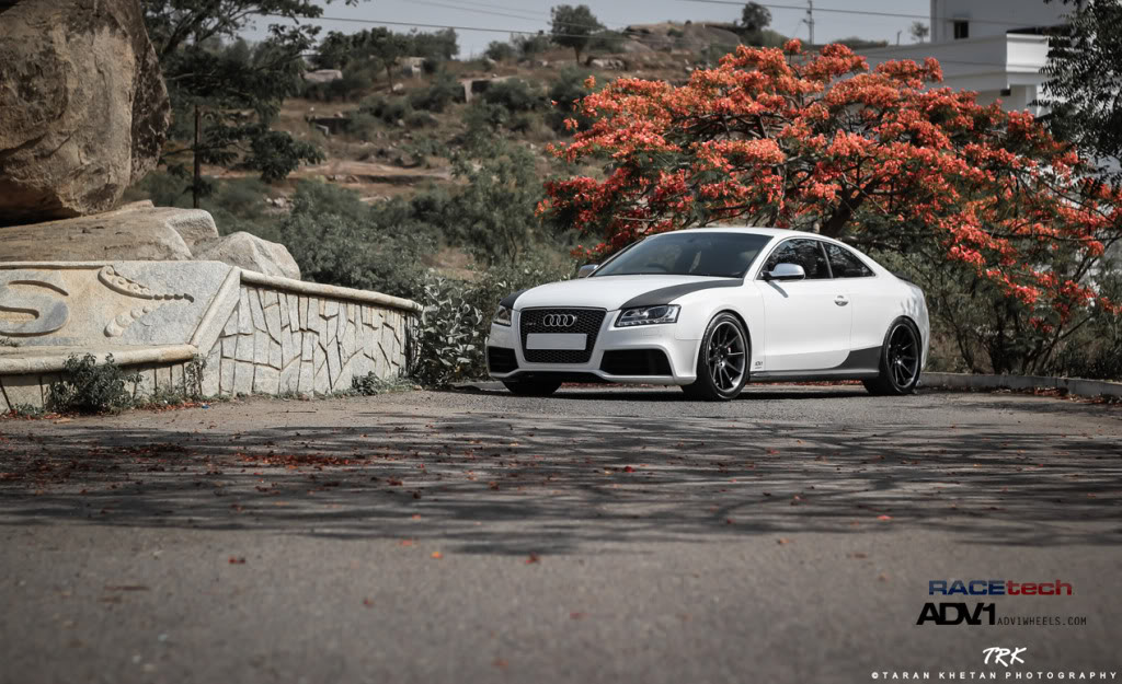 Name:  IMG_7346-2-2.jpg
Views: 43
Size:  164.6 KB