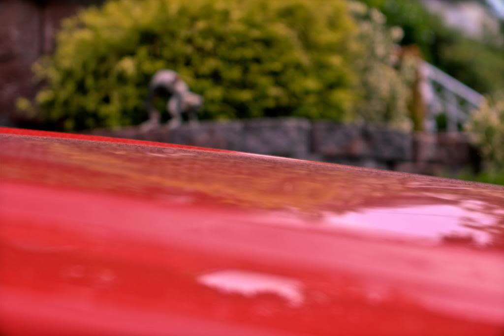 Name:  IMG_7179JJJ.jpg
Views: 49
Size:  41.2 KB