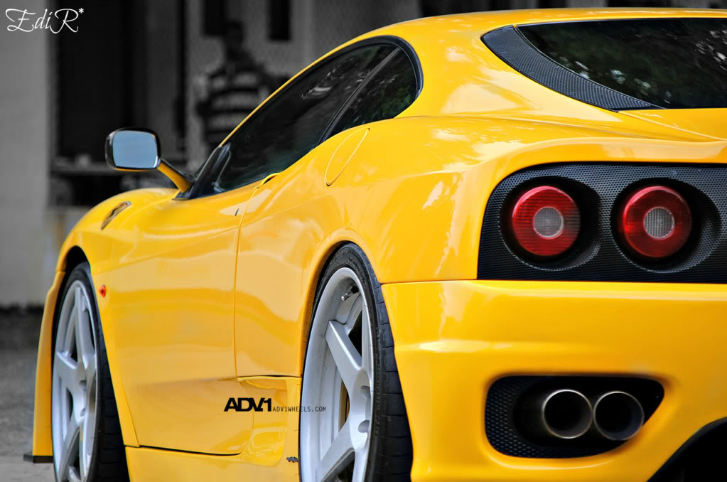 Name:  DSC_0544.jpg
Views: 2106
Size:  104.2 KB