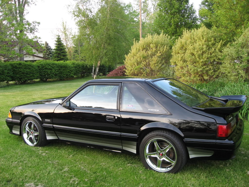 Name:  IMG_0377.jpg
Views: 31
Size:  265.1 KB