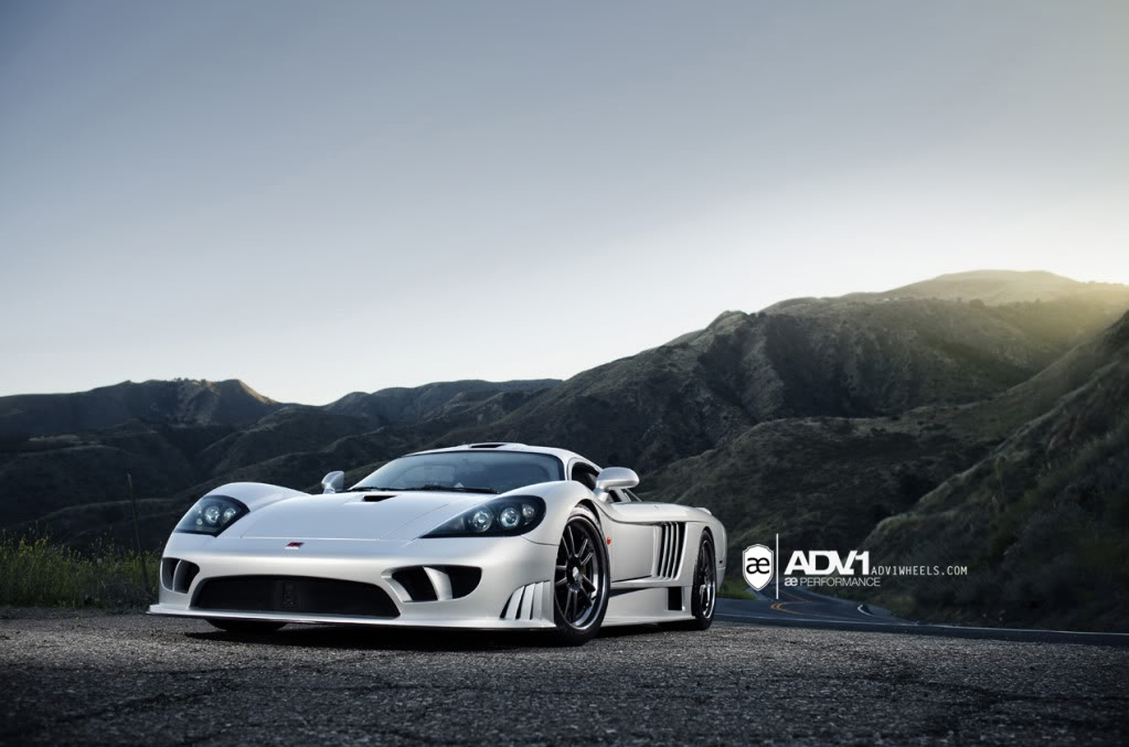 Name:  IMG_8862_0-L.jpg
Views: 22
Size:  87.0 KB