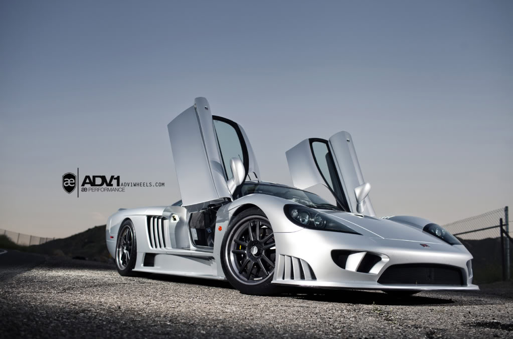 Name:  IMG_9005-L.jpg
Views: 14
Size:  98.6 KB