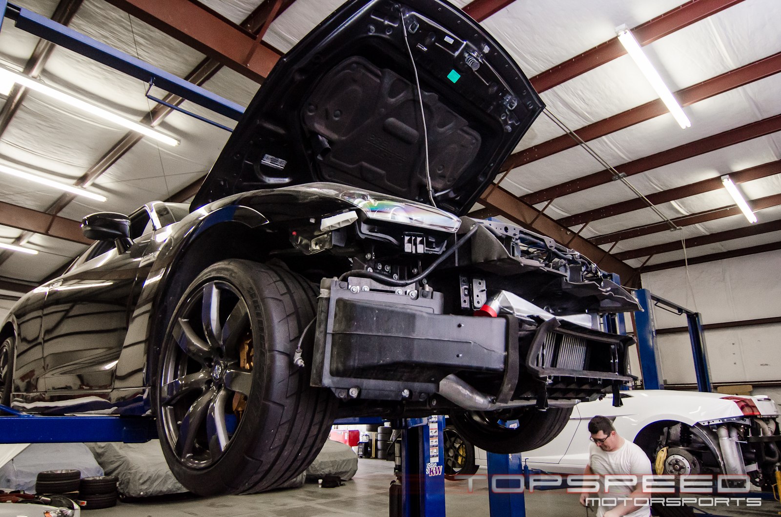 Name:  DSC_9854.jpg
Views: 125
Size:  1.40 MB