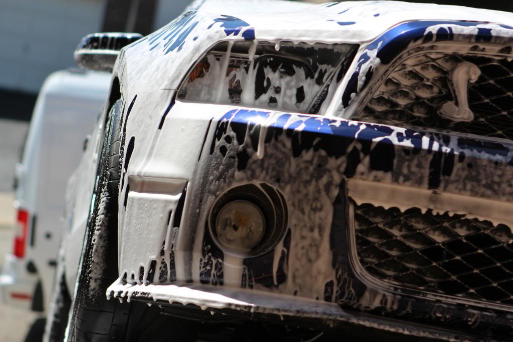 Name:  IMG_5880JJJ.jpg
Views: 60
Size:  87.2 KB