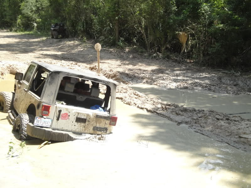 Name:  DSC02164.jpg
Views: 125
Size:  114.1 KB