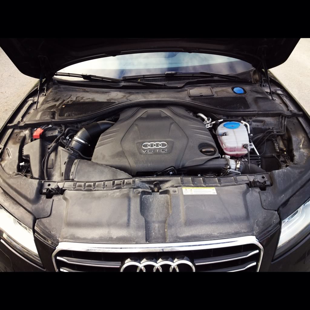 Name:  8b25f4dd.jpg
Views: 26
Size:  145.4 KB