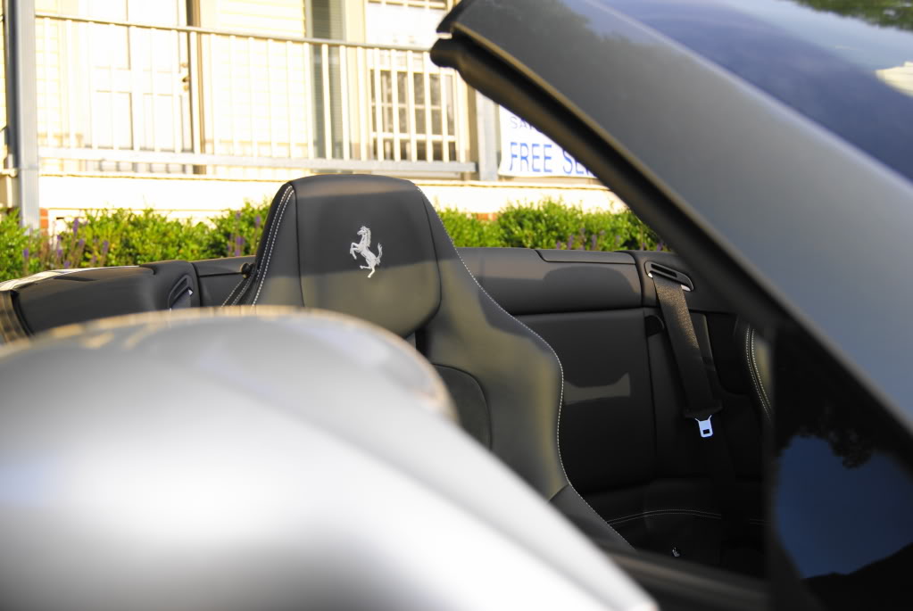 Name:  DSC02941.jpg
Views: 28
Size:  67.4 KB