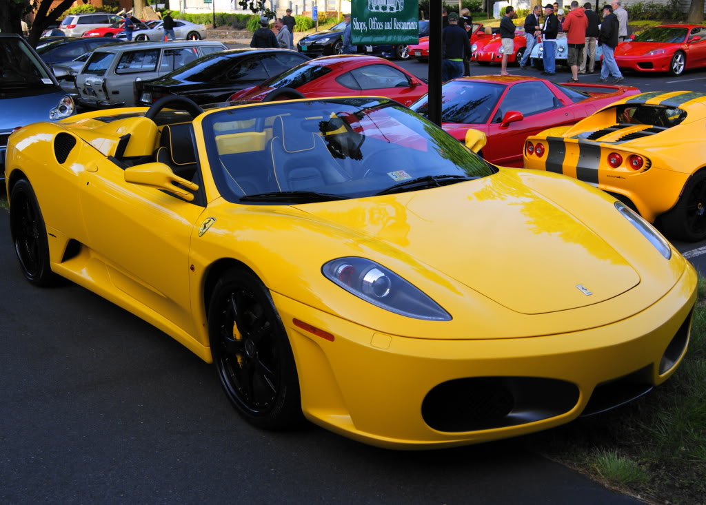 Name:  DSC02953.jpg
Views: 31
Size:  152.4 KB