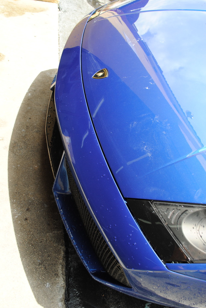 Name:  DSC_0265.jpg
Views: 190
Size:  197.9 KB