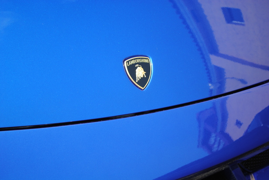 Name:  DSC_0274.jpg
Views: 116
Size:  137.2 KB