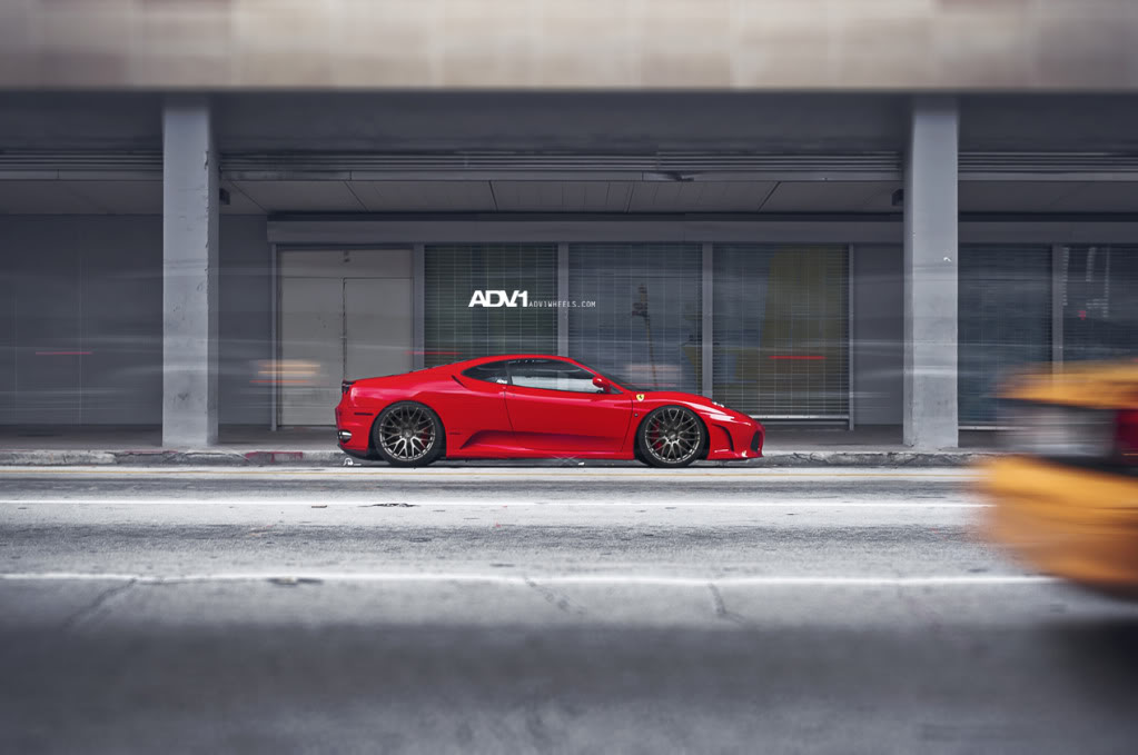 Name:  ADV1F430Goldie19.jpg
Views: 314
Size:  77.9 KB