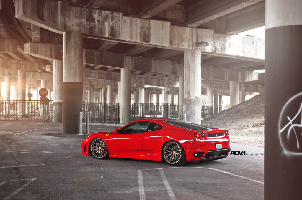 Name:  ADV1F430Goldie17.jpg
Views: 334
Size:  150.2 KB