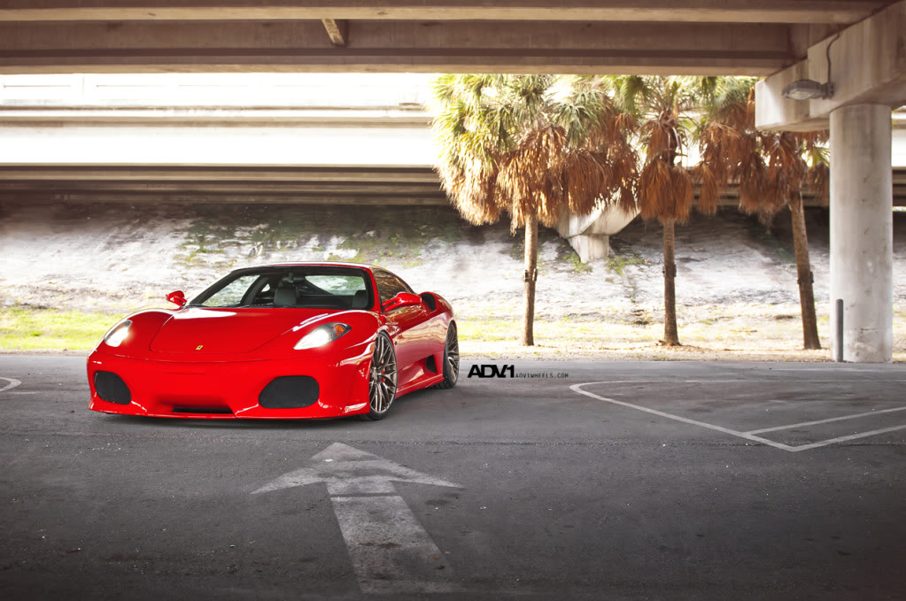 Name:  ADV1F430Goldie15.jpg
Views: 250
Size:  179.3 KB