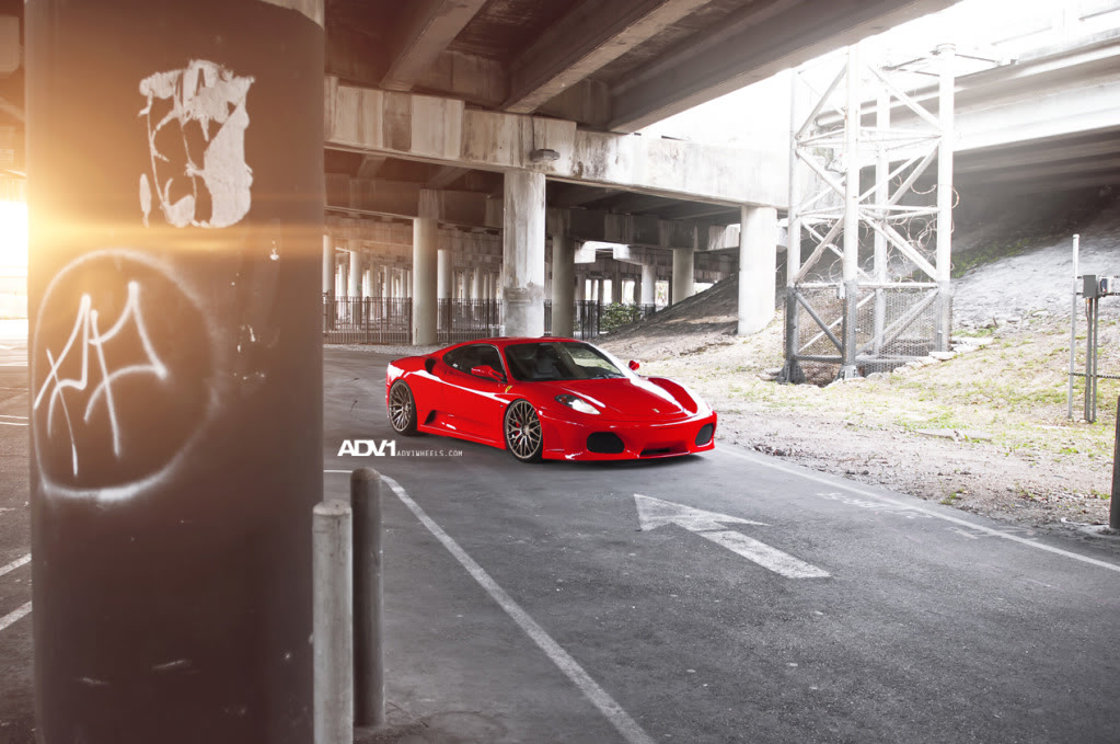 Name:  ADV1F430Goldie13.jpg
Views: 234
Size:  155.8 KB