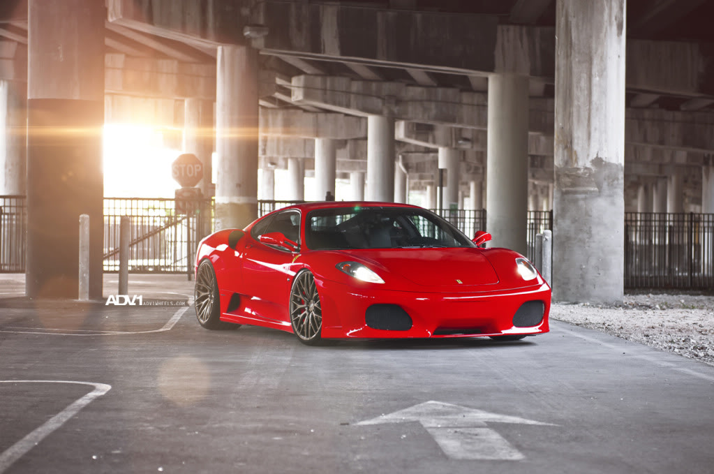 Name:  ADV1F430Goldie12.jpg
Views: 265
Size:  132.0 KB