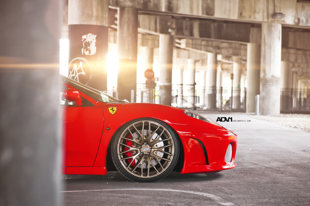 Name:  ADV1F430Goldie11.jpg
Views: 254
Size:  130.4 KB