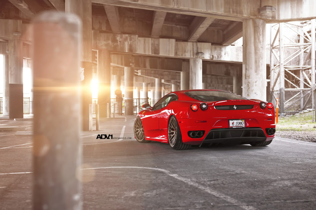 Name:  ADV1F430Goldie10.jpg
Views: 244
Size:  125.4 KB