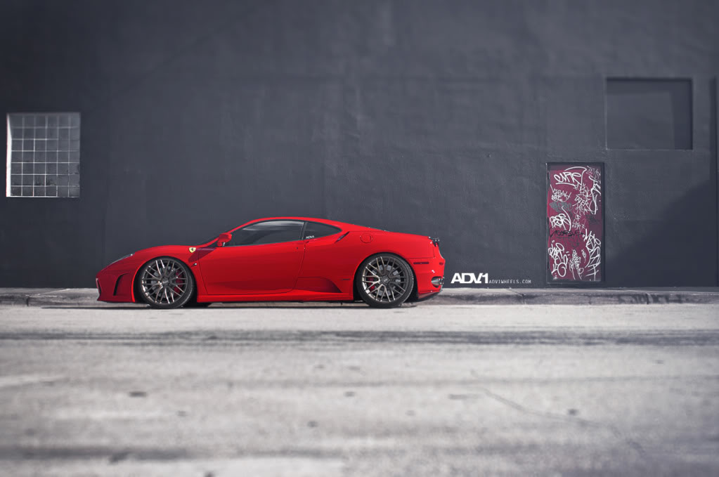 Name:  ADV1F430Goldie8.jpg
Views: 240
Size:  67.5 KB