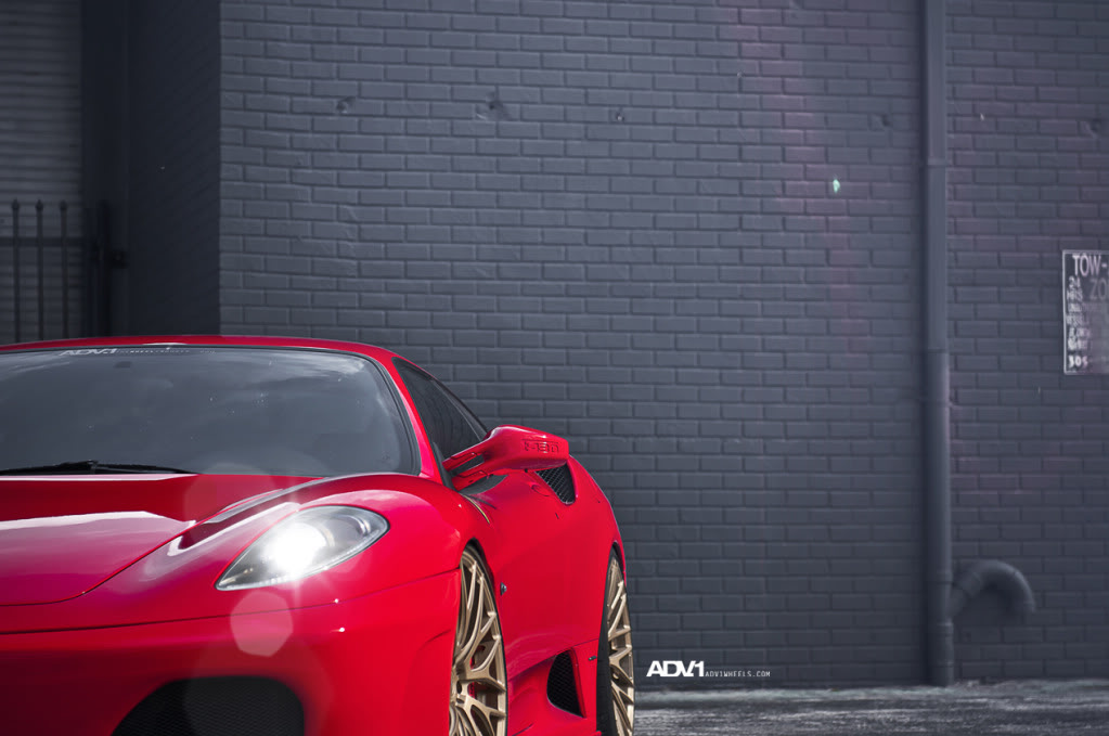 Name:  ADV1F430Goldie7.jpg
Views: 245
Size:  99.3 KB