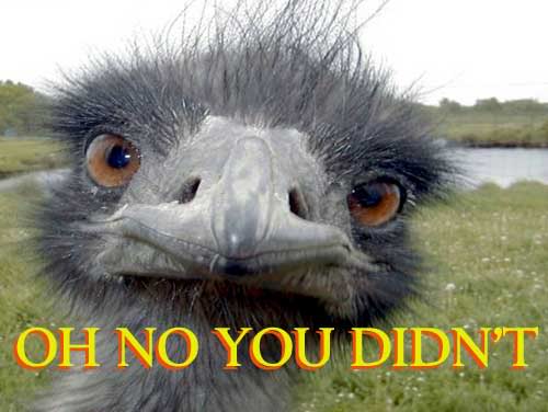 Name:  oh-no-you-didnt.jpg
Views: 17
Size:  25.0 KB