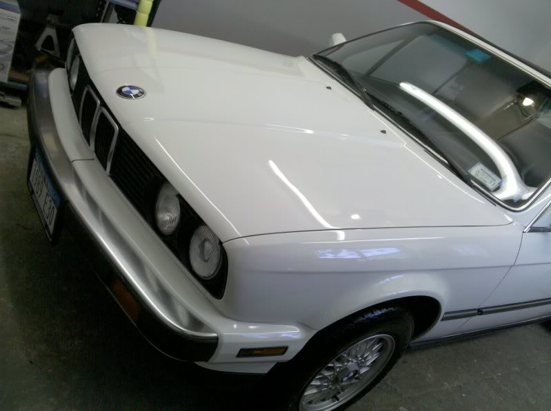 Name:  2010-06-05184521.jpg
Views: 49
Size:  47.9 KB