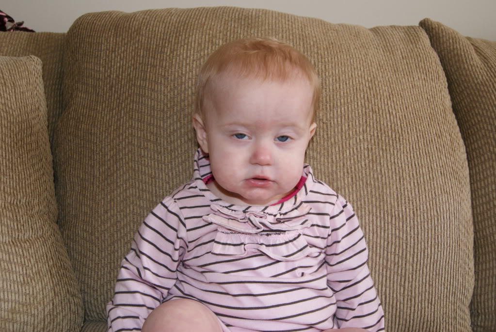 Name:  DSC02906.jpg
Views: 22
Size:  159.1 KB