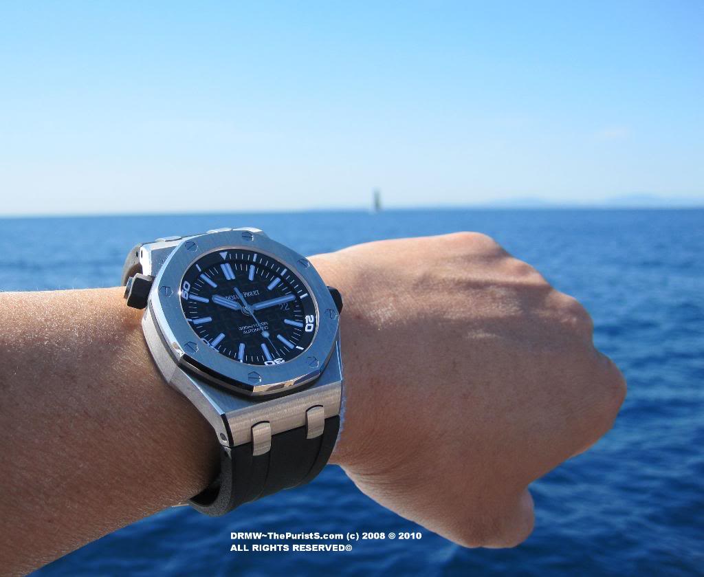 Name:  APdiver00.jpg
Views: 198
Size:  72.7 KB